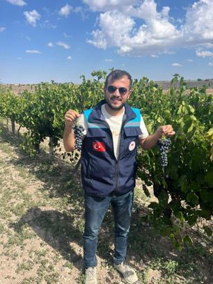 Karacalar üzümüne coğrafi işaret