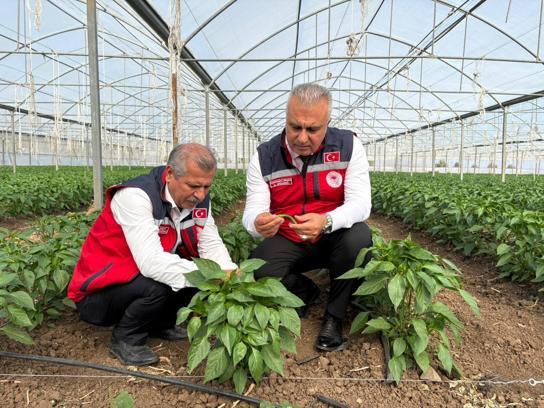 Türkmen: Üreticilerimizin alın terini ve emeğini destekliyoruz