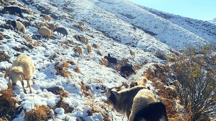 Besicilerin kar altında zorlu mesaisi