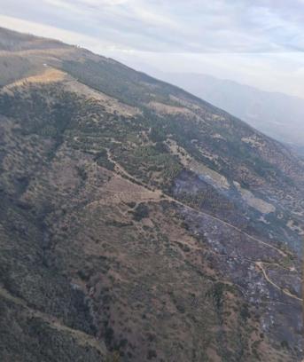 Aydın'da orman yangını (2)