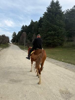 Bindiği at, huysuzlanıp koşmaya başlayınca panik yaşadı; o anlar kamerada