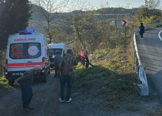 Otomobil fındık bahçesine uçtu; anne ve kızı yaralandı