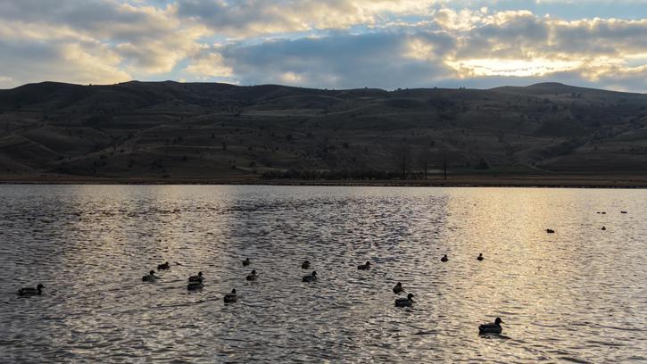 Kuruyunca kuşların da terk ettiği göl, yağışlarla yeniden 'hayat' buldu