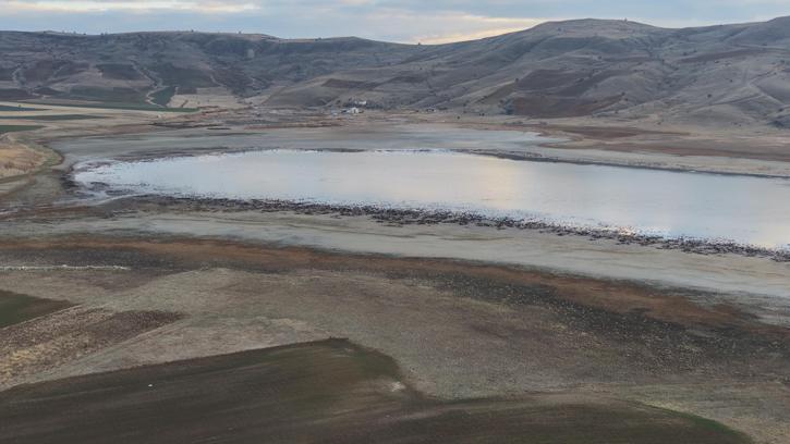 Kuruyunca kuşların da terk ettiği göl, yağışlarla yeniden 'hayat' buldu / Ek fotoğraflar