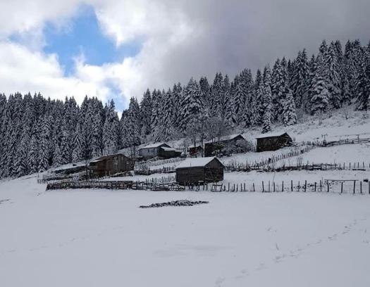 Ordu’nun yüksekleri beyaza büründü