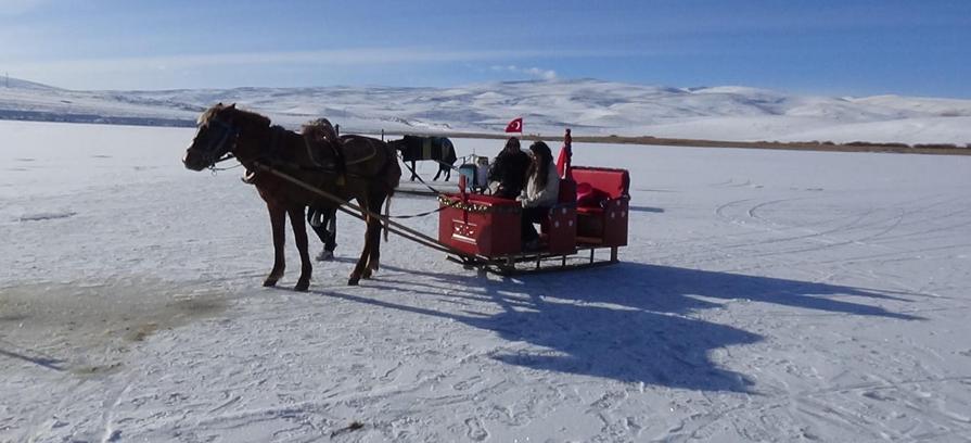 Atlı kızaklar, Çıldır Gölü’nde tura başladı