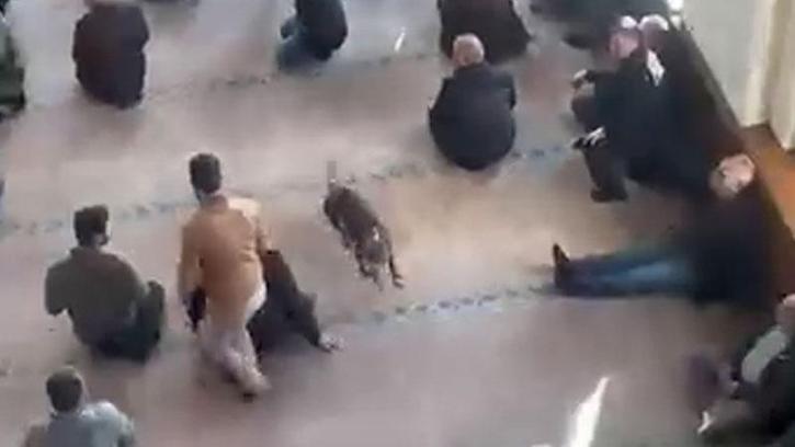 Cuma vaazı sırasında camiye pitbullun girdiği anlar kamerada