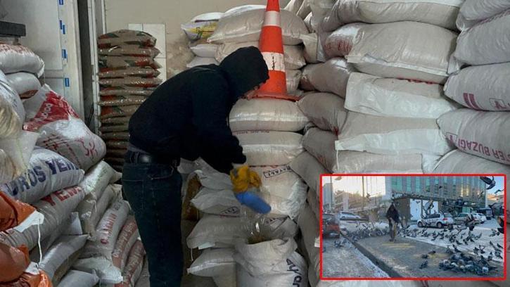 Ardahan’da esnaf soğuk havada yiyecek bulamayan güvercinleri imece usulü besliyor