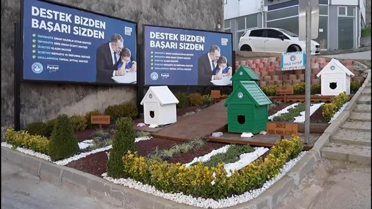 Kestel Belediyesi’nden sokak kedilerine; ‘Kale Paty’ projesi