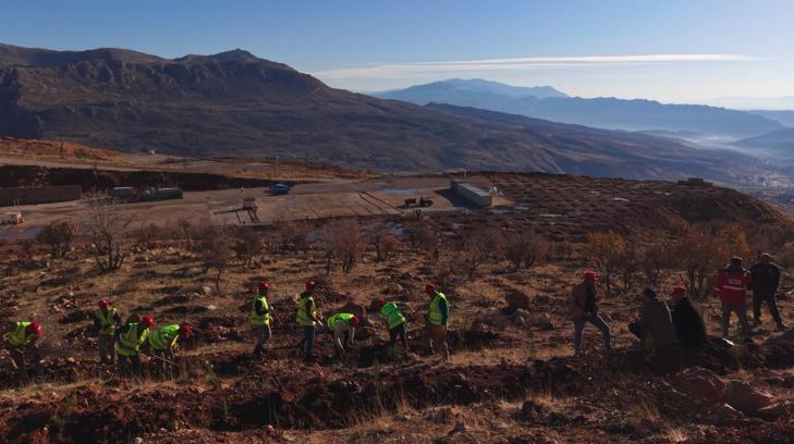 Gabar'da fidan dikim seferberliği