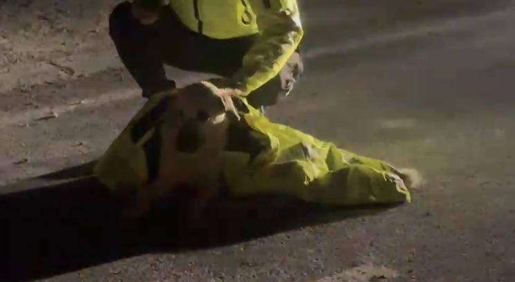 Polis, yaralı köpeğin üstünü kendi montuyla örttü