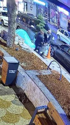 Parkta, büyük saksıdaki ağacı otomobilin bagajına koyup çaldılar