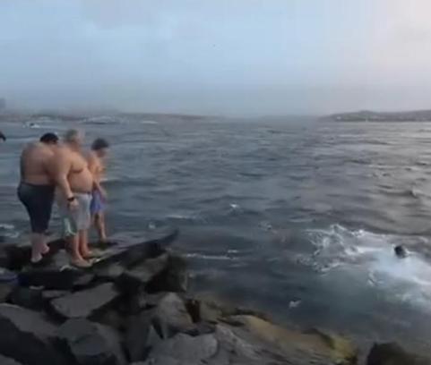 İstanbul - Fatih'te soğuk havaya aldırış etmeden denizde yüzdüler