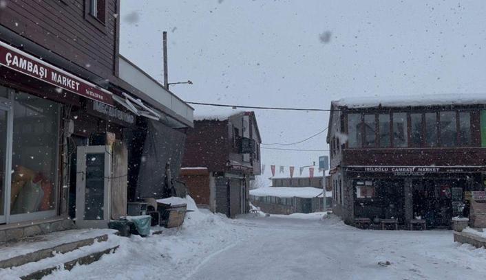 Ordu'nun yüksek kesimlerinde kar yağışı