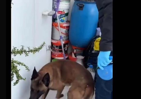 Aydın’da silah ve uyuşturucu operasyonu: 2 gözaltı