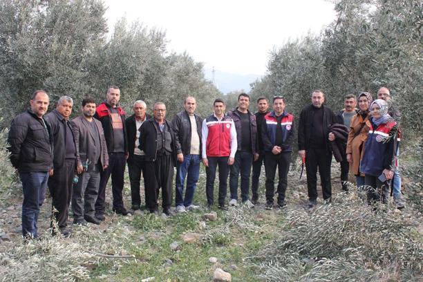 Düziçi’nde budama kursu