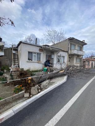 Fırtınada devrilen ağaç evin çatısına zarar verdi