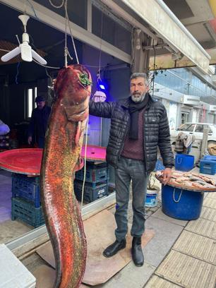 Çayırhan Gölü'nde balıkçı ağlarına 2 metrelik yayın balığı takıldı