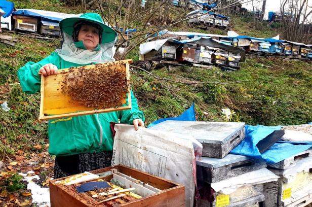 Genç yaşta babasını kaybedince ömrünü kardeşlerine adadı; arıcılık yapıp hepsini okuttu