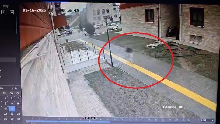 Karne almaya giderken sokak köpekleri peşine takılınca apartmana sığındı