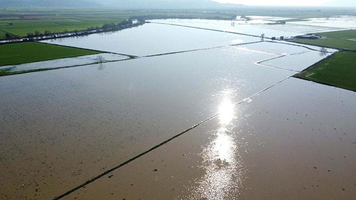Menderes Nehri taştı: 2 bin dönümlük arazi sular altında kaldı