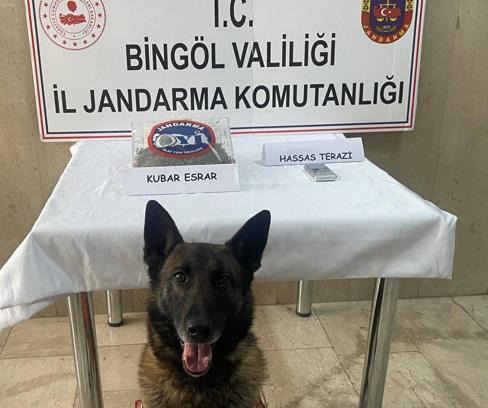 Bingöl’de 8 firari hükümlü yakalandı