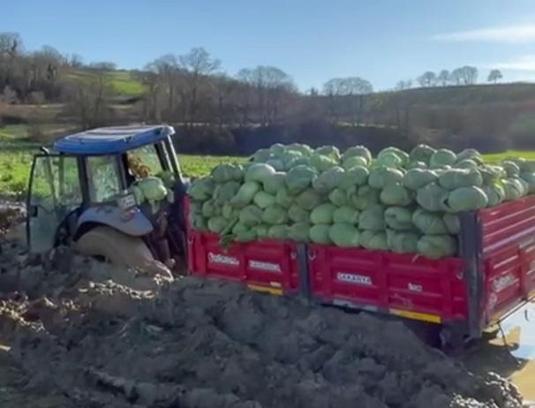 Çamura batan traktörü çıkarmak isteyen çiftçilerin 2 traktörü de çamura saplandı