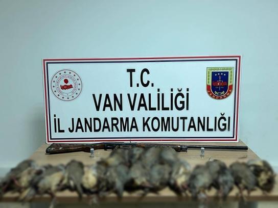 Kaçak avcıya 87 bin TL ceza kesildi; araçta 17 ölü kınalı keklik ele geçirildi
