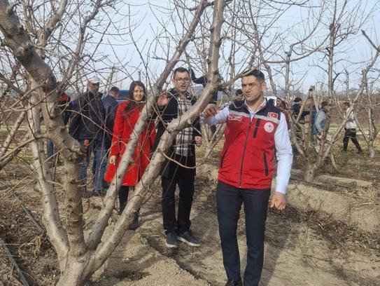Düziçi'nde budama çalışması