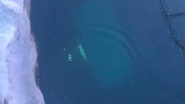 Rusya'da Baykal Gölü'nde tur aracı buzun altına düştü: 8 ölü