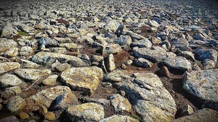 Şanlıurfa’da volkanik bazalt taşlarının altında cephanelik ele geçirildi: 8 gözaltı