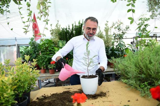 Süs bitkileri üretimi Kestel Belediyesi ile dünya pazarına açılıyor