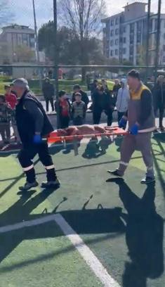 Sultangazi’de futbol sahasında pitbullar birbirine saldırdı