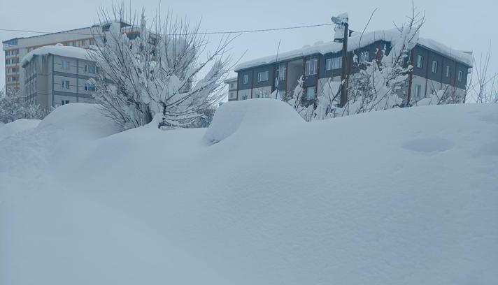 Bitlis'te kar durdu, temizlik çalışması başladı