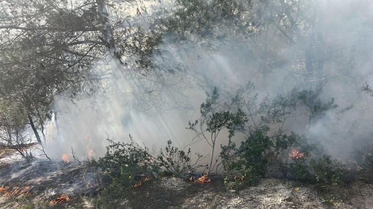 Kadirli'de orman yangını söndürüldü