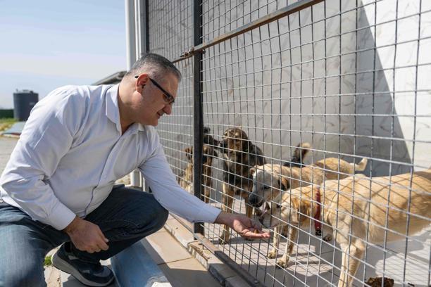 Bornova'da kedi ve köpekler için takviye edici gıda bağışı
