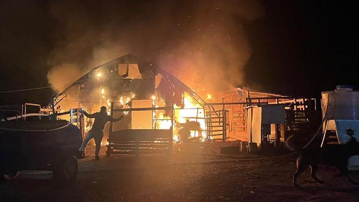 Kanatlı ve küçükbaş hayvan çiftliğinde yangın: 580 hayvan öldü