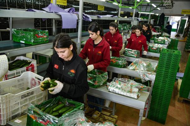 İran savaşı sonrası Türkiye'den Rusya'ya sebze ihracatı arttı