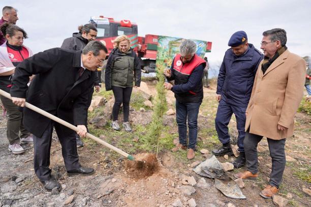 Burhaniye'de 315 fıstık çamı toprakla buluşturuldu