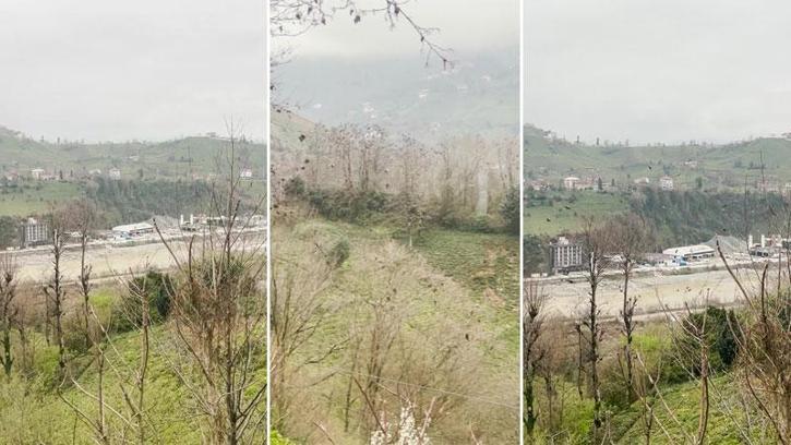 Rize'de gökyüzünde süzülen şahin sürüsü kamerada