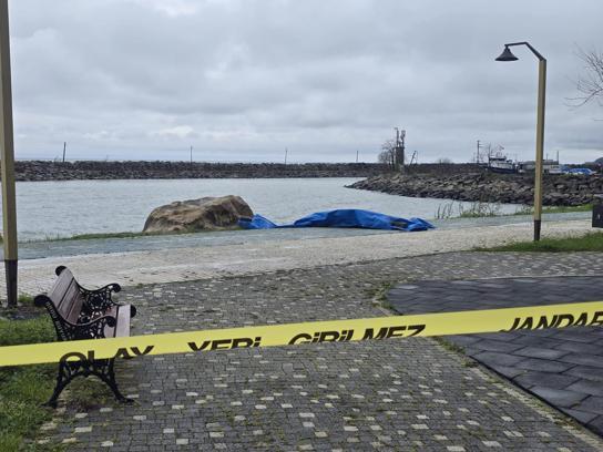 Ordu'da sahile insansız araç olduğu değerlendirilen cihaz vurdu