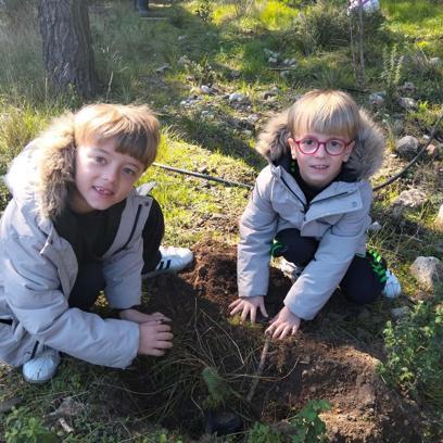 Öğrenciler Kazdağları’nda fidan dikti