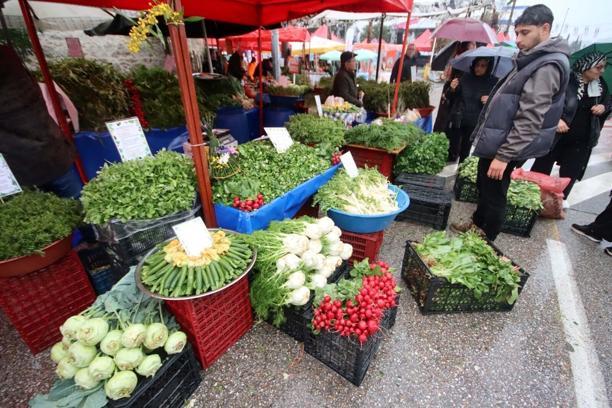 Bodrum Acı Ot Festivali başladı