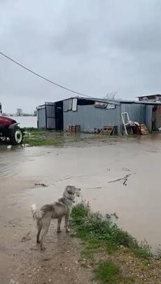 Bursa'da sağanak ve fırtına; Karacabey'de su baskını