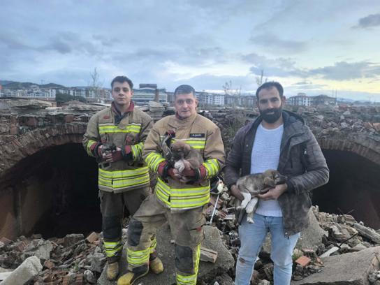 Turgutlu’da kuyuya düşen 3 yavru köpeği itfaiye kurtardı
