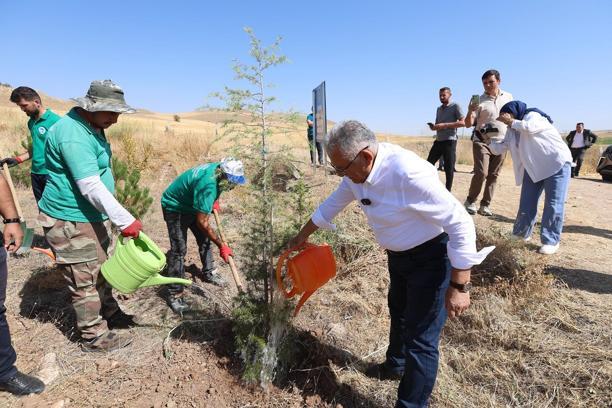 Kayseri Büyükşehir Belediyesi'nden son 7 yılda 786 bin fidan