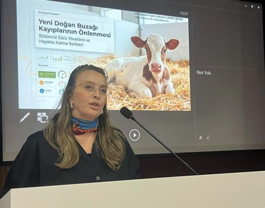 Dr. Canikli: Sağlıklı buzağı istiyorsak, anneyi doğru beslememiz lazım