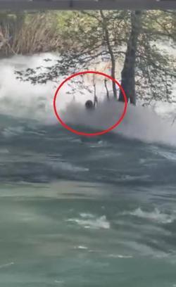 Berdan Çayı'na atlayan gencin, ağaç dalına tutunmaya çalıştığı anların görüntüsü ortaya çıktı