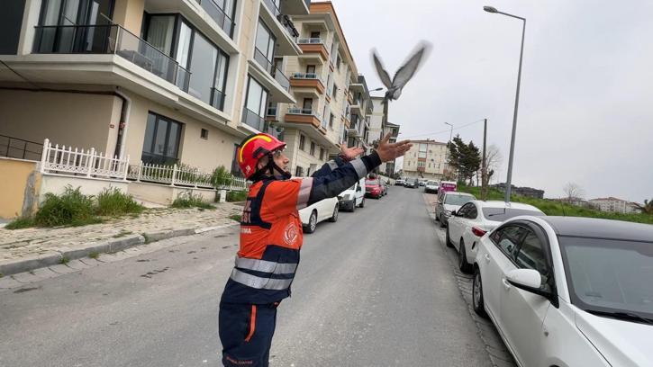 Avcılar'da havalandırma boşluğuna düşen güvercin ve martıyı itfaiye kurtardı