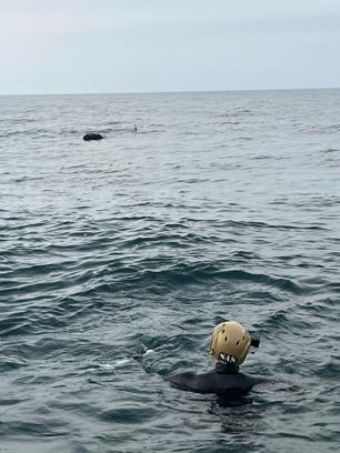 MSB: İğneada açıklarında tespit edilen mayın imha edildi